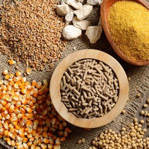 Thức ăn chăn nuôi